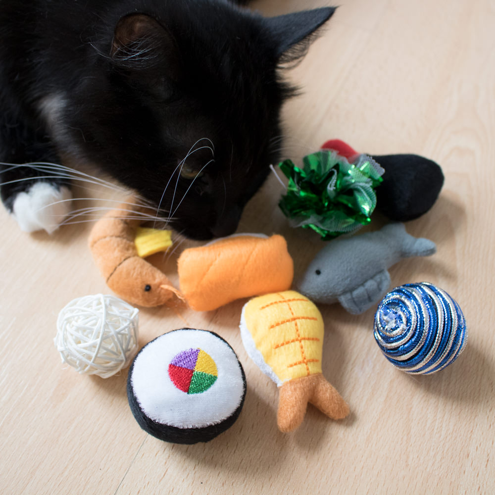 FREE Cat Toy or Treat!
