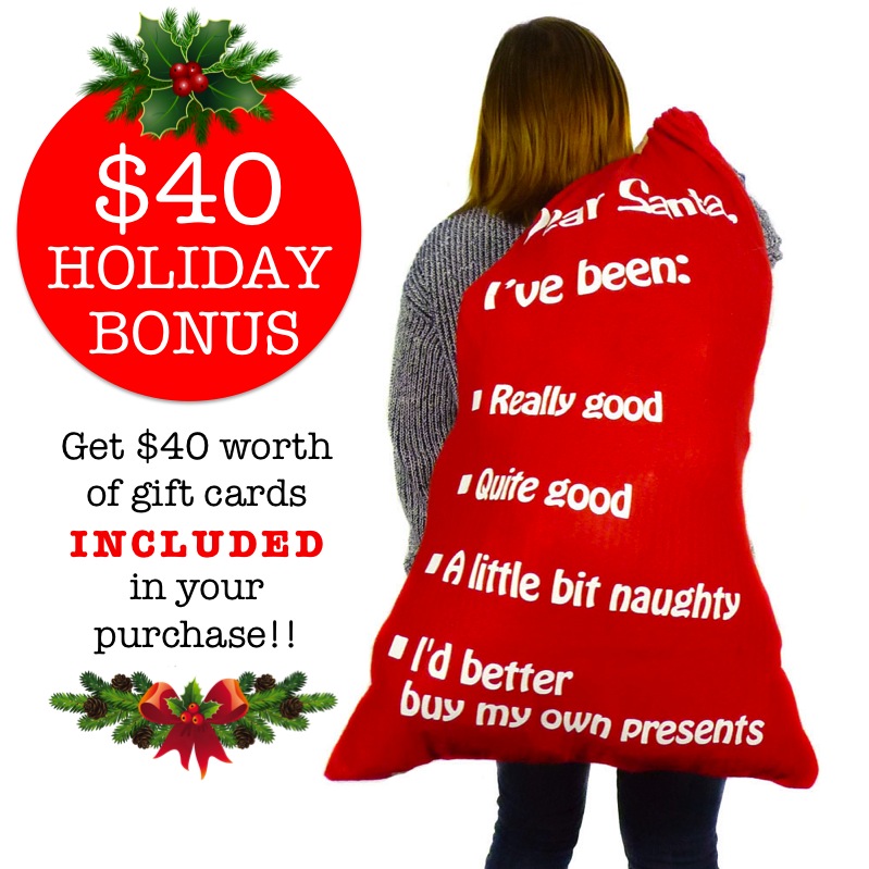 Mystery Santa's Christmas Bag of Awesome - $19.99