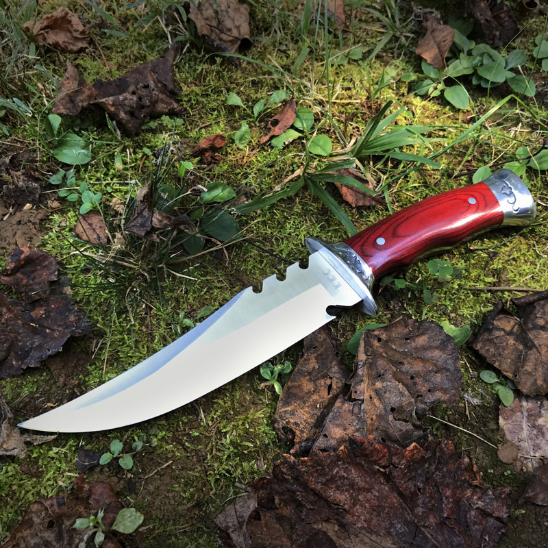 11 Inch Survival / Hunting Kni...