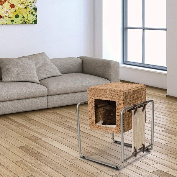 $59.99 (reg $120) Vesper Cat F...